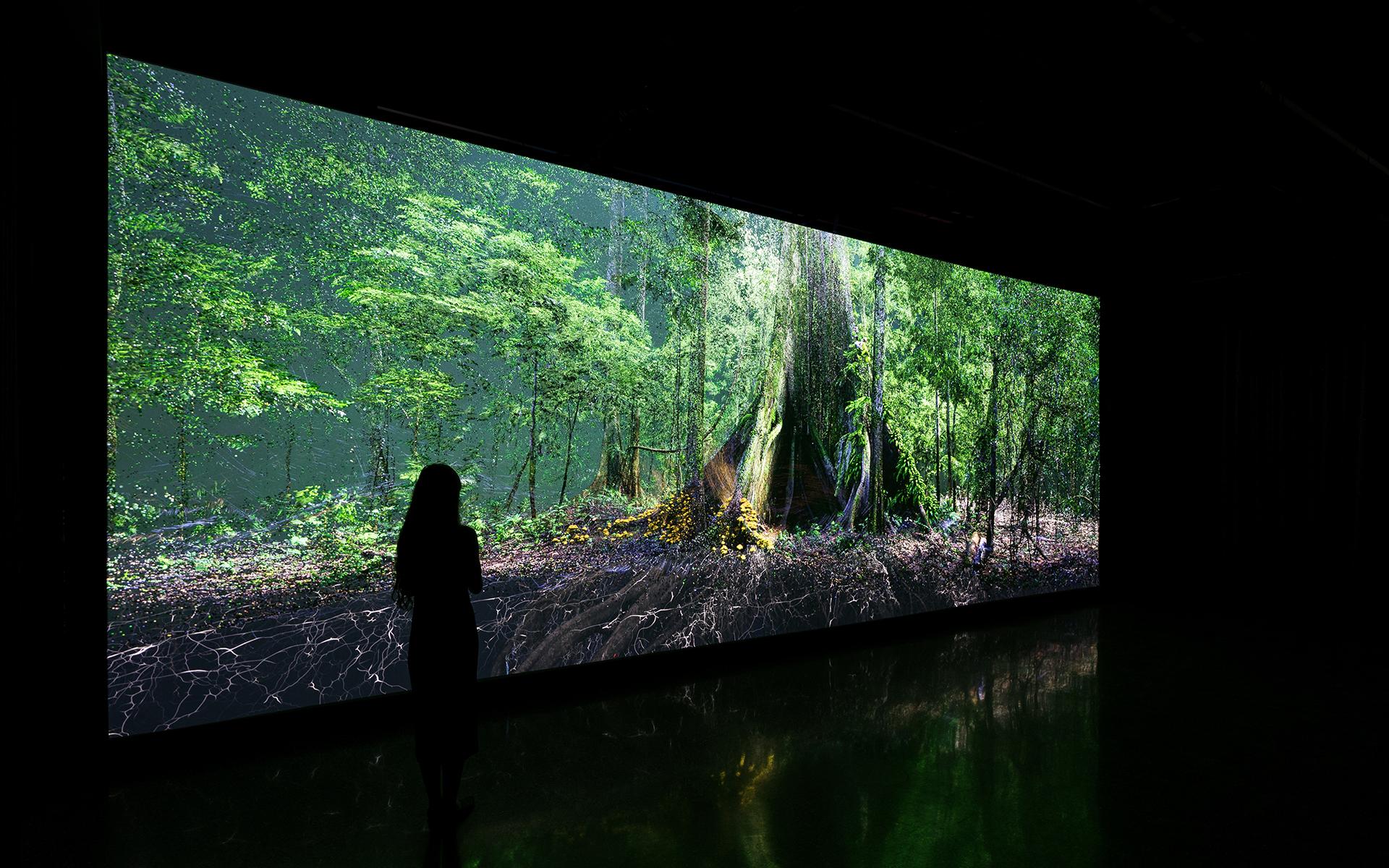 Journey of the Pioneers