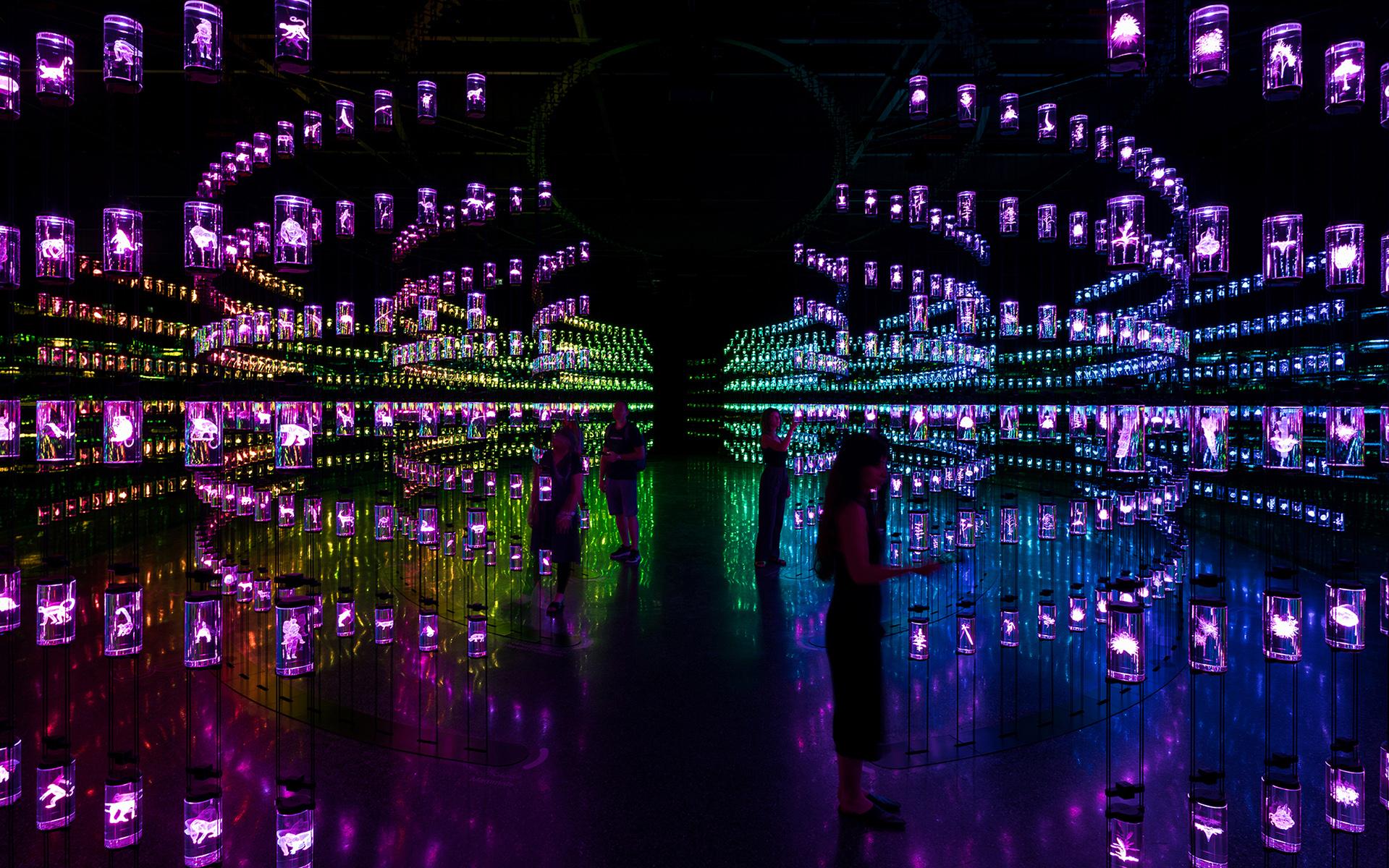 Journey of the Pioneers