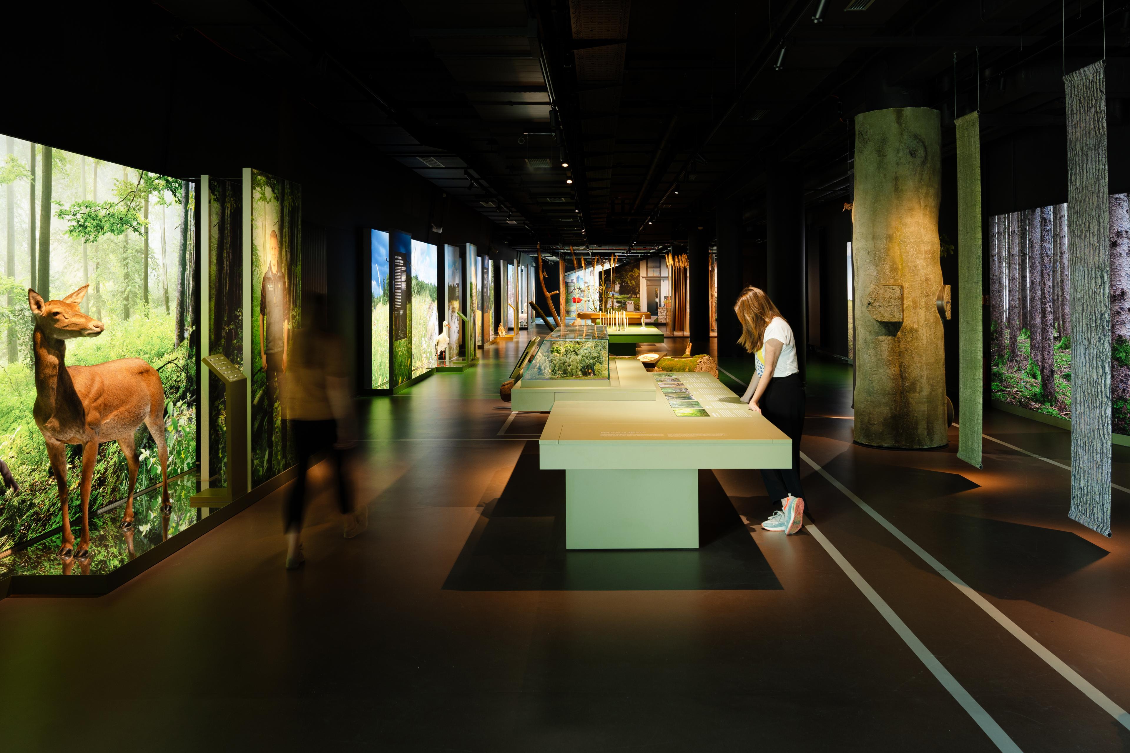 Botschaft der Wildtiere