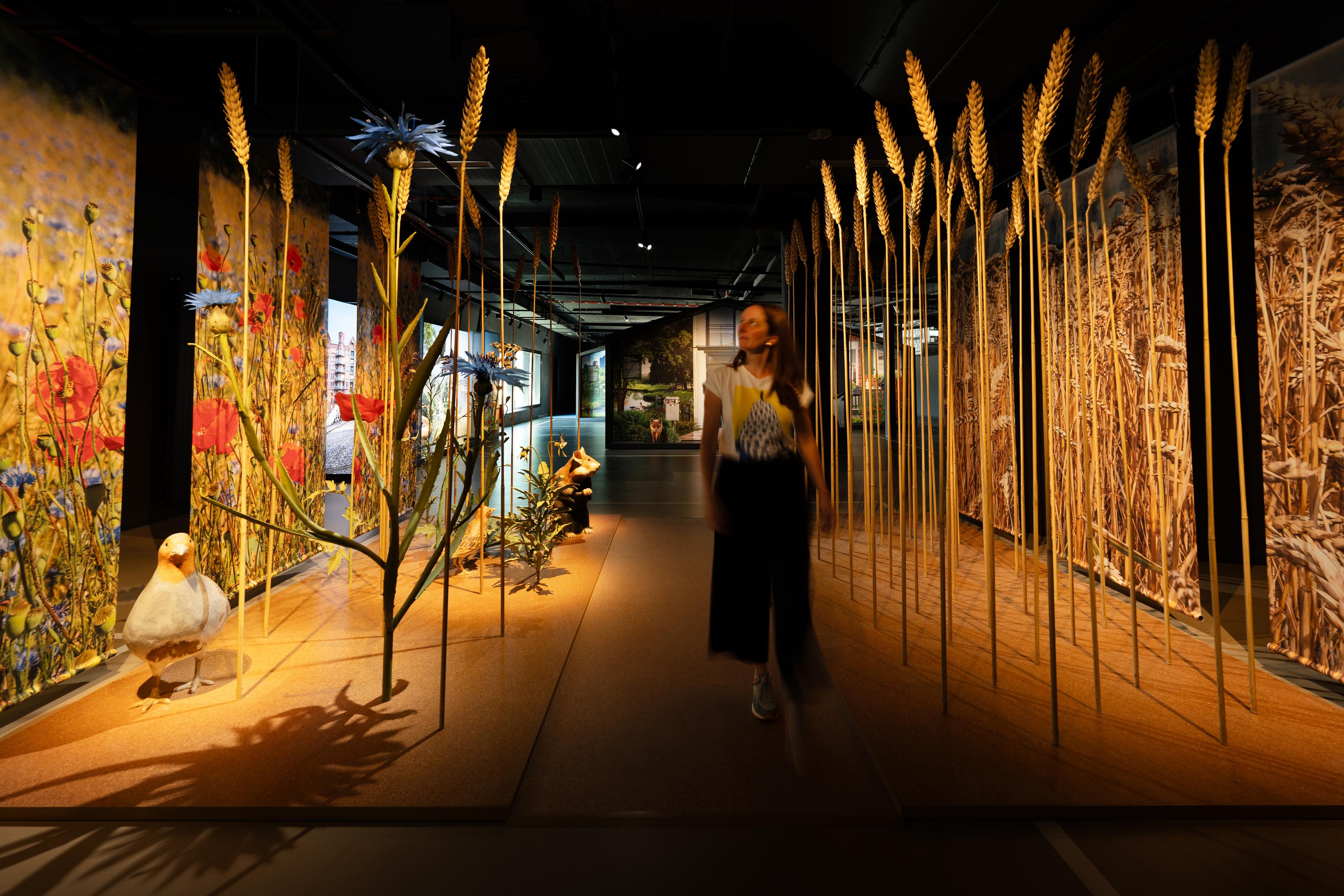 Botschaft der Wildtiere - Begehbares Feld