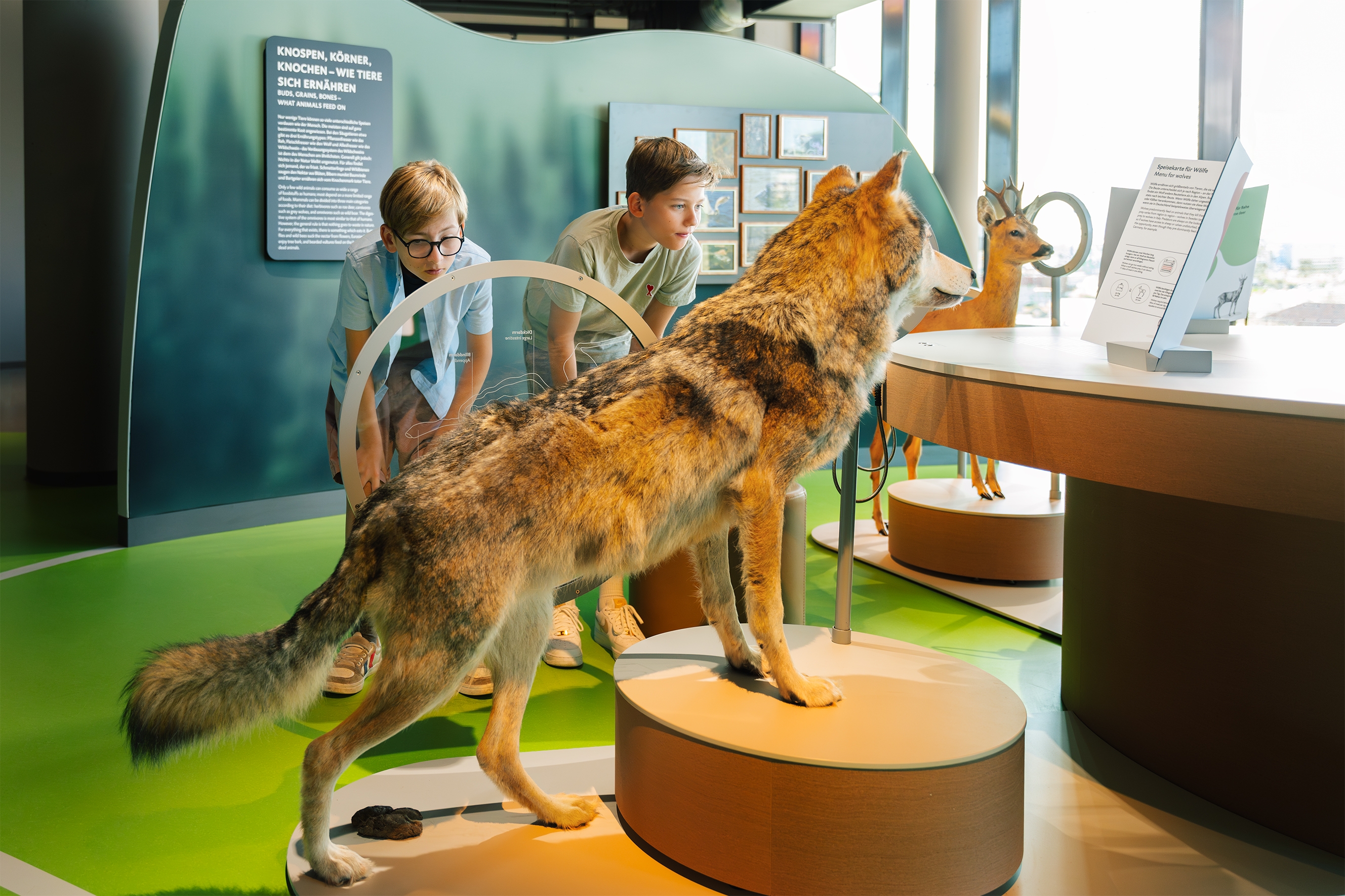 AUSSTELLUNG BOTSCHAFT DER WILDTIERE