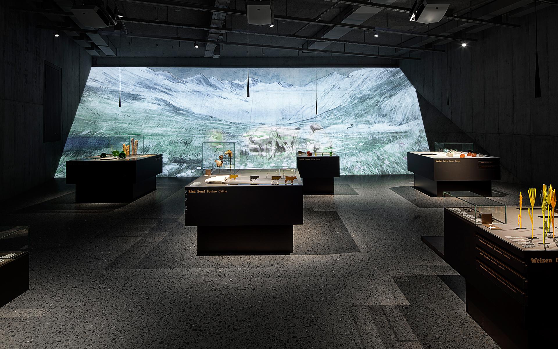 Archaeology Switzerland – Swiss National Museum