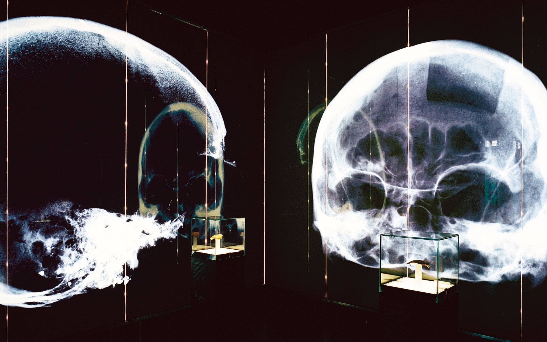 LWL-Museum für Archäologie