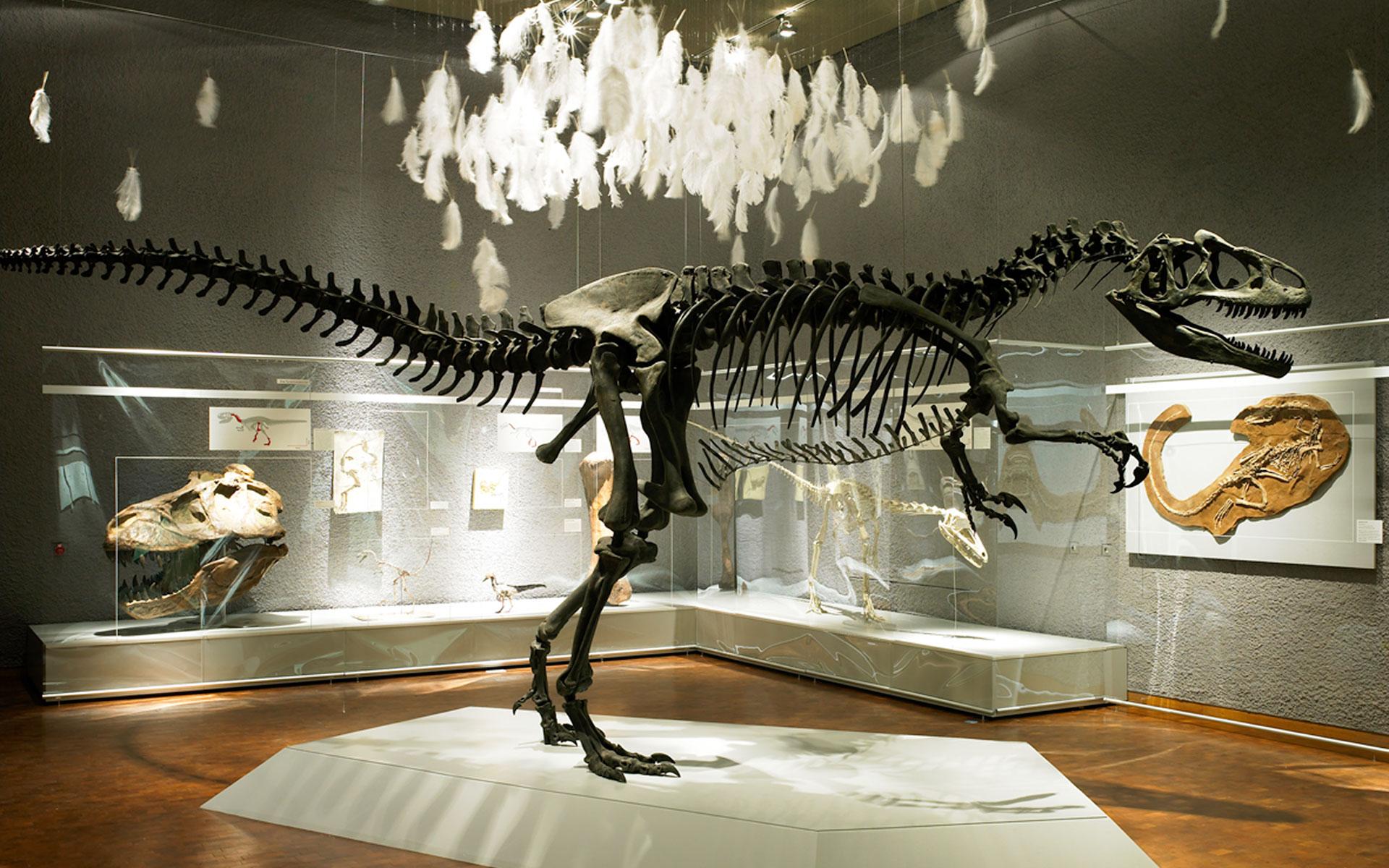 Saurians – Successful Creatures of Evolution