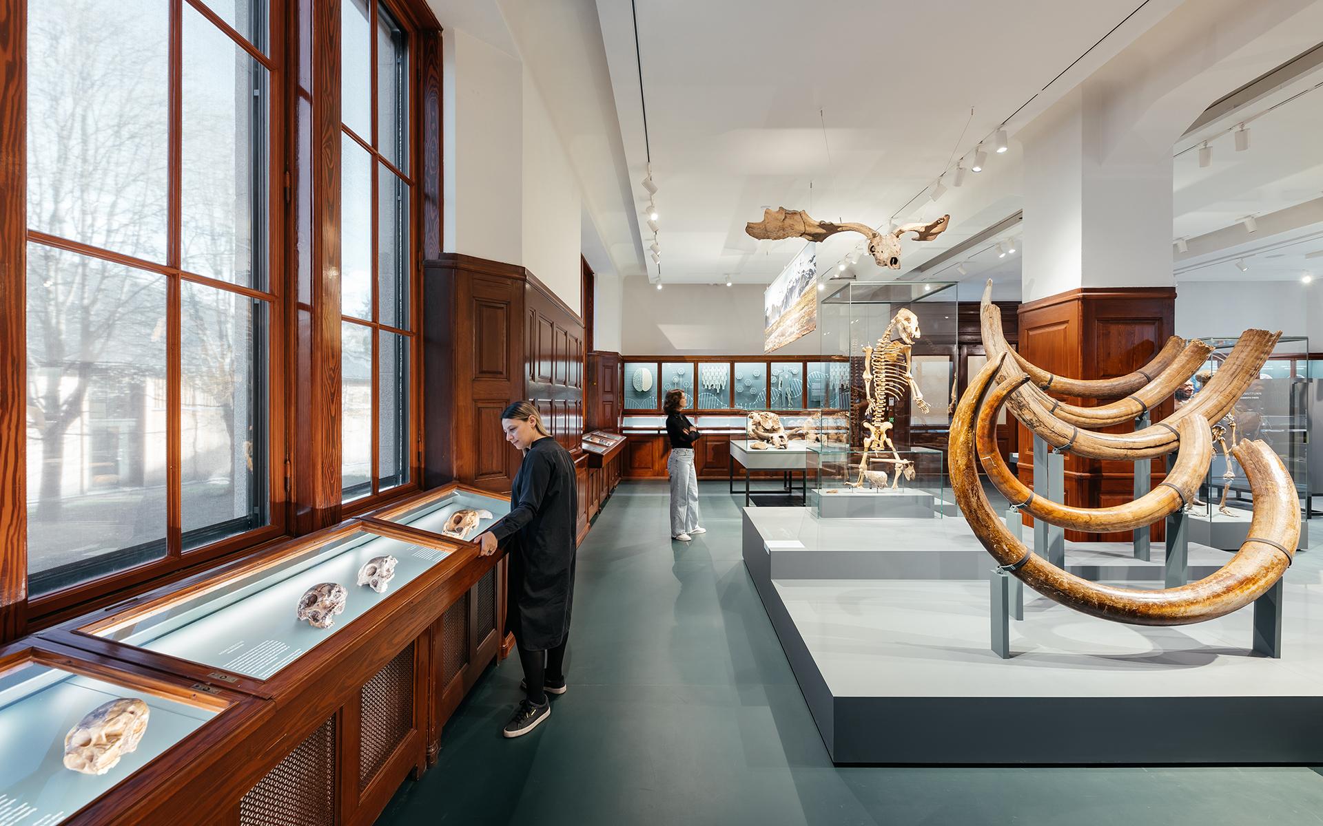 Natural History Museum